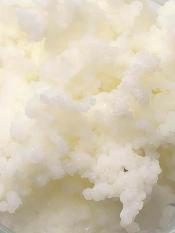 SHEA BUTTER